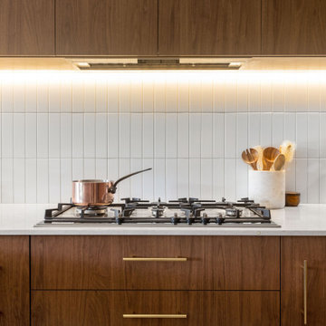 Plympton Park Contemporary Kitchen Renovation