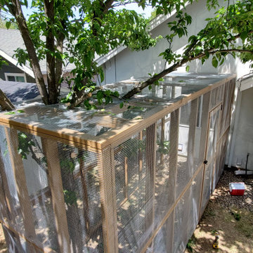 Custom Catio (Cat Patio)