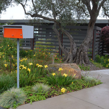 Garden for a modern house