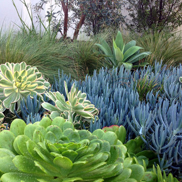 Amazing Coastal Color