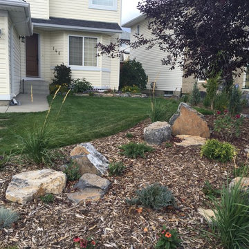 Drought tolerant /rainwater harvest