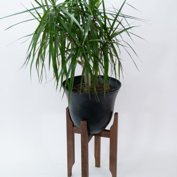 Plant Stand