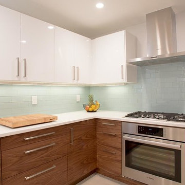 Fully Completed Sektion Kitchen _ Jersey City