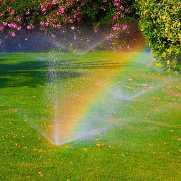 6 Lawn Care Mistakes That Can Ruin Your Yard in Raleigh