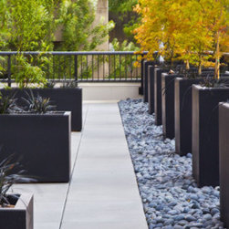 Commercial Custom Modern Fiberglass Planters - Products
