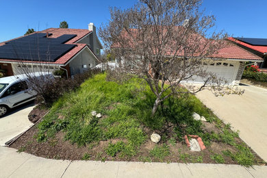 Drough ground cover plants ,drip and beautiful river rock