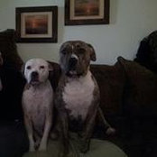 Kim Webb's photo
