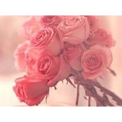 Ziena Yassin's photo
