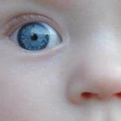 Lora Straub's photo