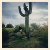 Photo de Rosaleen Doherty-Kenney