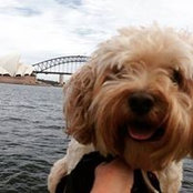 Nicky Cooney's photo