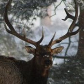 Chris Hood's photo