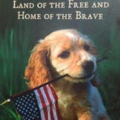 Connie Stiars's photo