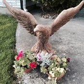 Tammy Vecchio's photo