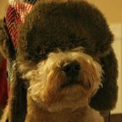Lisa Tallman's photo