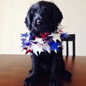 Christy Andrews's photo