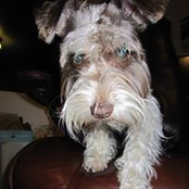 James Pfitzner's photo
