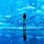 Nicole Zhao's photo