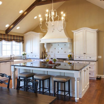 Kitchen Remodeling in Western Springs
