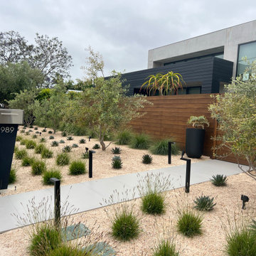 Modern by the Coast - Costa Mesa