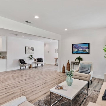 Living Room Remodel