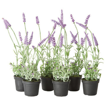 Set 12 Mini Lavender Faux Floral Plants in Pots Rustic Gift Purple Flowers