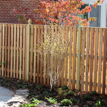 Fall Blooming Witchhazel with neighboring Dogwood