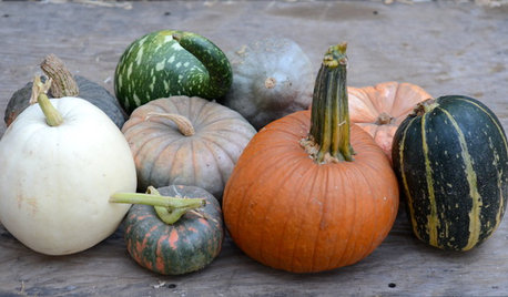 Join Us for a Parade of Pumpkins