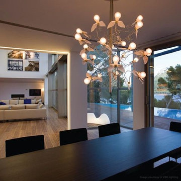 #BestLight