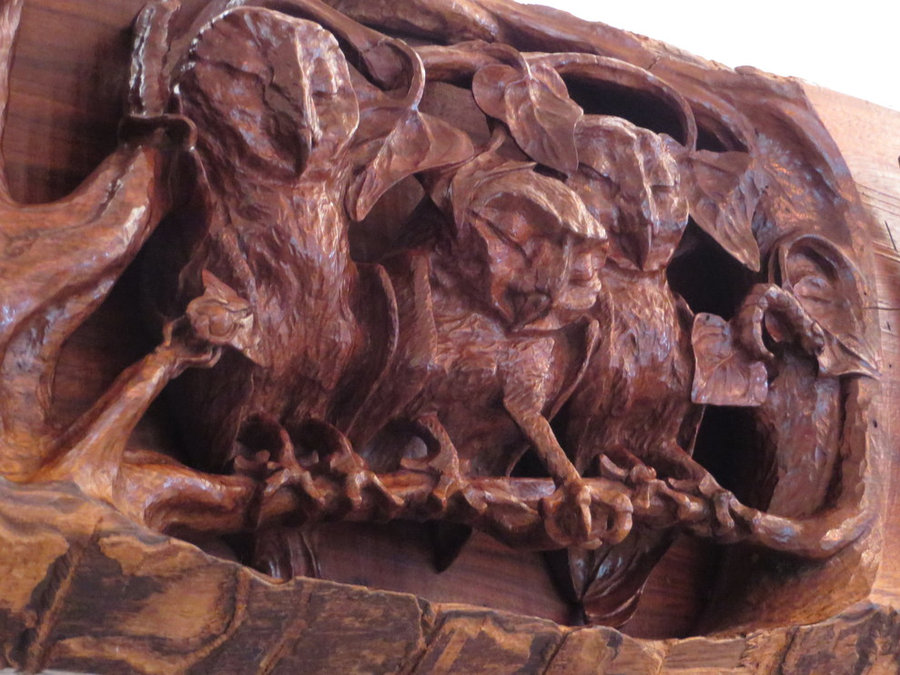 DETAIL: Sleeping Owlets