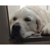 Steve Gravlin's photo