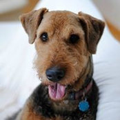 Murphy Freeman's photo