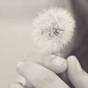 Holly Branhan's photo