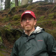 Andrew's Arboriculture