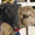 jerone_debbie_richards