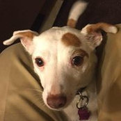 Marc Gawronski's photo