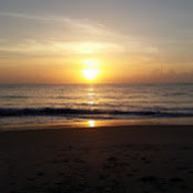 Foto von Gayle Sanchez