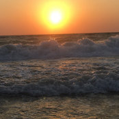 Sujai Naidu's photo