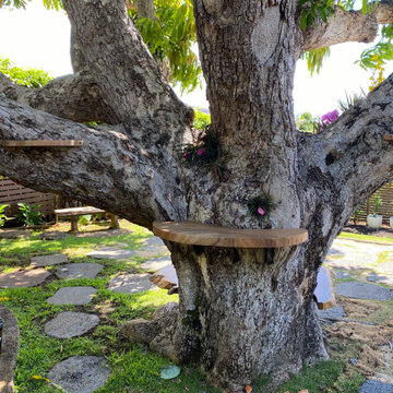 100 Year Old Tree Bench