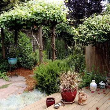 Post-Surf Outdoor Shower Water Feeds Plants