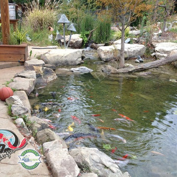 KOI Pond, Backyard Pond & Small Pond Ideas for your Kentucky Landscape