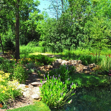 Natural Pond