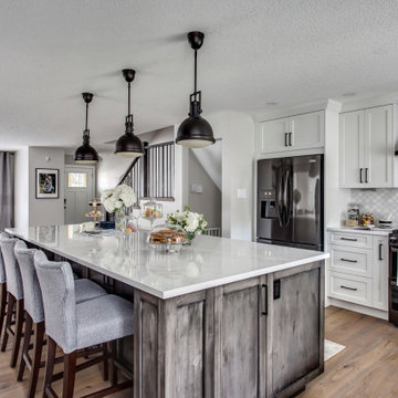 Willow Park Main Floor & Basement Remodel