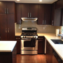 REMODEL: Cabinet Refinishing