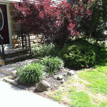 Zaccraya Cisse Spring Cleanup