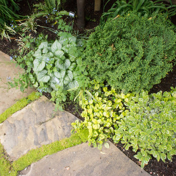 Gamble Garden Spring Tour 2014: Melville