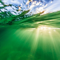 Warmth Beaneath by Joel Coleman - Photographs