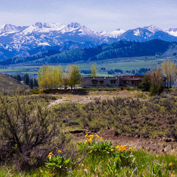 Balsamroot Flowers & North Cascade Mountains - Prints And Posters