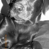 Lucy Coker's photo