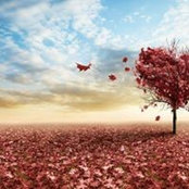 Ekaterina Pashko's photo